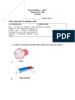 Ciencias 1ro Diciembre