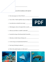 finding nemo questions copy