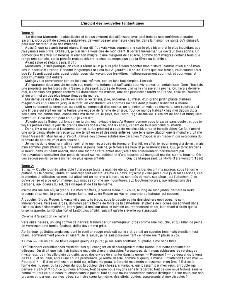 L'incipit De Un Recit Fantastique Exemple  itamasd