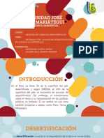 CAUSAS DESERTIFICACION Trab PDF