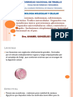 IF-3 Lisosomas, Vacuolas, Endosomas PDF