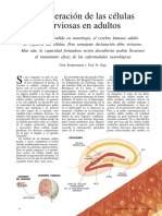 Regeneración Celulas Nerviosas PDF