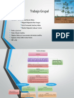 Trabajo Grupal: Miguel Alejandro Ruiz Vargas Erick Fernando Sánchez Aldas Martin Alejandro Salazar Cortes