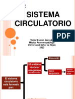 Vena ARTERIAS LINFATICOS GLOMUS PDF