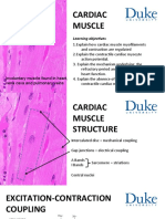 Week3-6pptcaridac Muscle