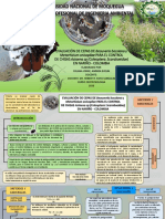 Evaluación de Cepas de Beauveria Bassiana y Metarhizium Anisopliae para El Control de Chisas Astaena SP - Colombia