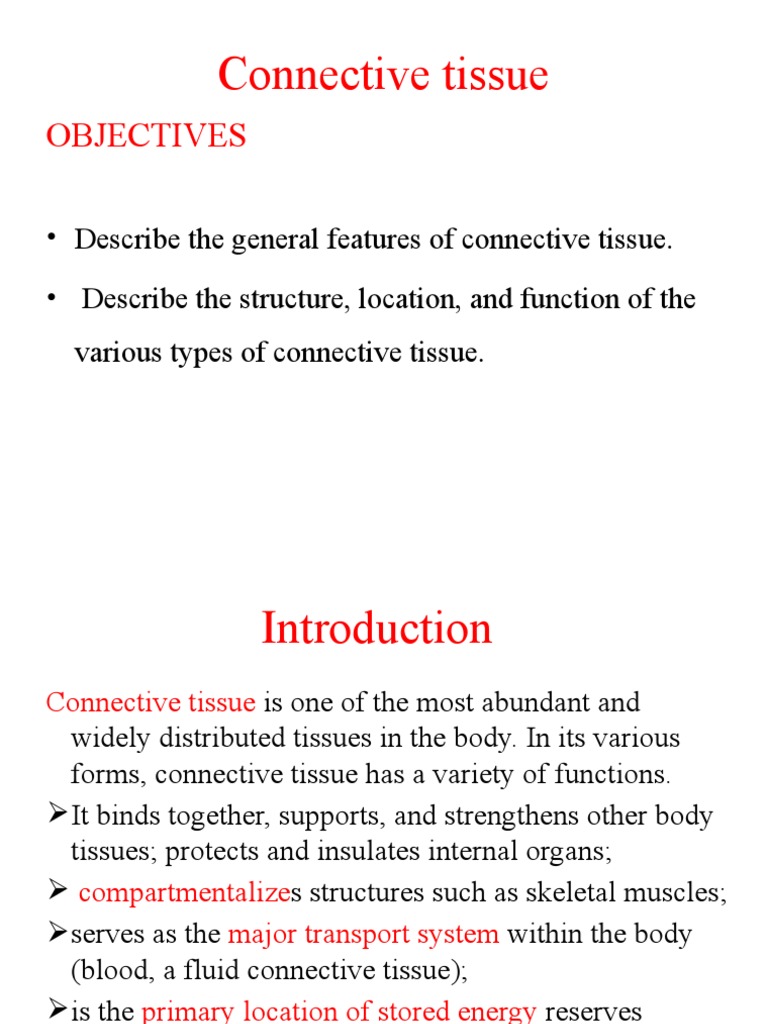 Connective Tissue | PDF | Connective Tissue | Cartilage
