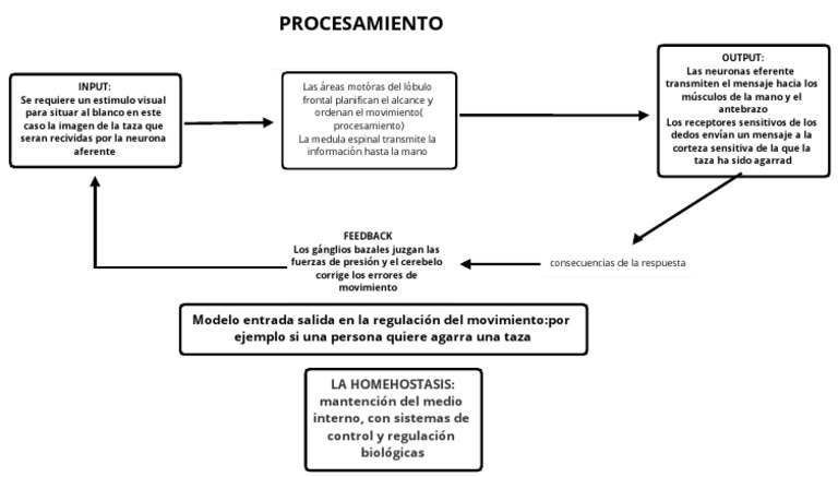 Modelo Input-Output en Movimiento | PDF