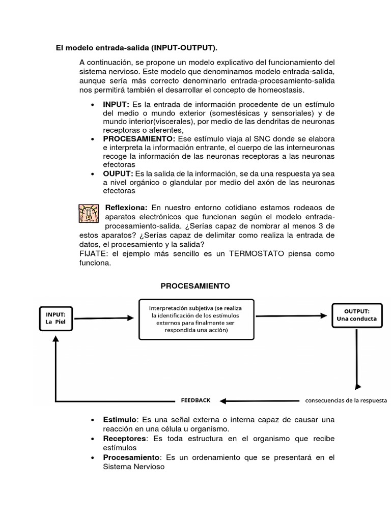 Modelo Input-Output | PDF