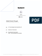 PRÁCT. TF3 Ópcion 2 (+ corto pero incluye calculos).pdf
