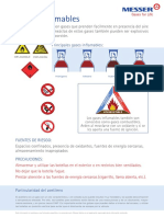 Gases inflamables.pdf