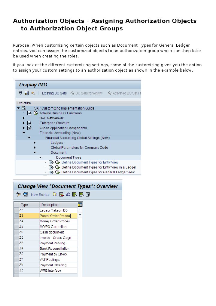 Assigning Authorization Objects in SAP | PDF