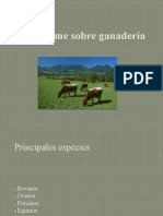 Informe Sobre Ganadería