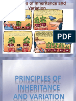 Principlesofinheritance 140428030815 Phpapp01