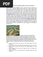 Download KERUSAKAN SUNGAI DAN DAERAH ALIRAN SUNGAI DI INDONESIA by Rizki_Rahadian_T_506 SN48944619 doc pdf