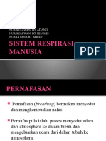 Sistem Respirasi Manusia