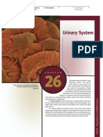 Seeley - Urinary System PDF