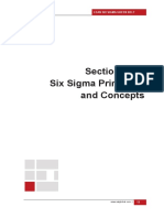 Section One: Six Sigma Principles and Concepts