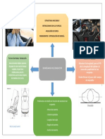 Biomecanica Conductor PDF