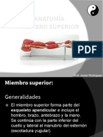 Anatomía Miembro Superior