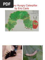 Download The Very Hungry Caterpillar_web by pilaricams3 SN48947328 doc pdf