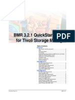 248854 - BMR Quick Start Guide for TSM