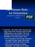 The Human Body: An Orientation