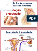 Fecundação e gestação (4).pdf