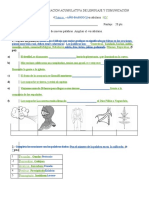 Prueba Vocab. Unid 4