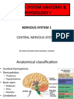 Lecture 7 Nervous System 1 - CENTRAL NERVOUS SYSTEM