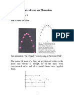 Center of Mass and Momentum