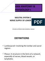 Lecture 12 Skeletal System Lower Limb (Nerve Supply)