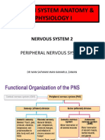 Lecture 8 Nervous System 2 - PERIPHERAL NERVOUS SYSTEM