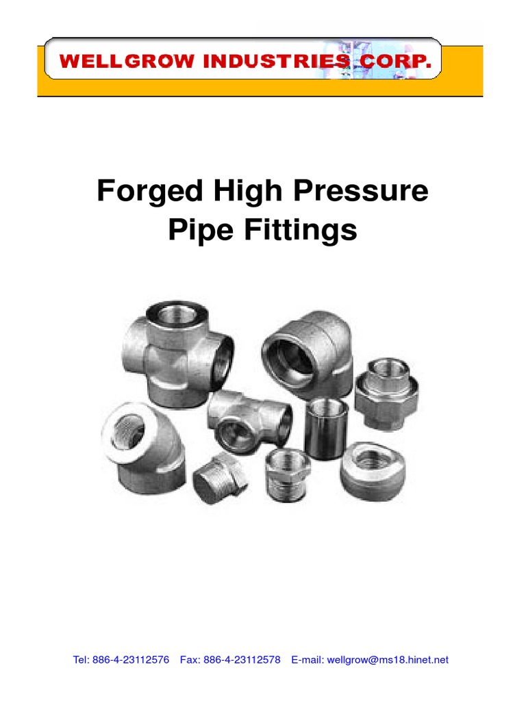 Forged Pipe Fittings | PDF