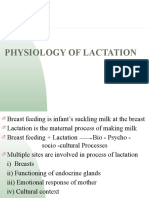 Physiology of Lactation