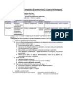 Tema 8 - División Oomycota