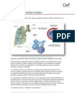 Sistema Respiratorio