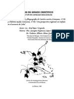 Genética poblacional y filogeografía de Caretta caretta