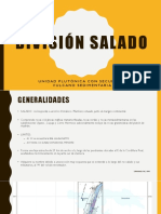 División Salado PDF