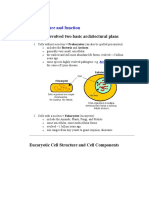 cell structure and function.doc