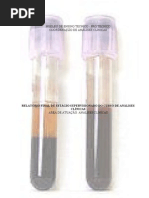 Relatorio Estagio em Analises Clinicas