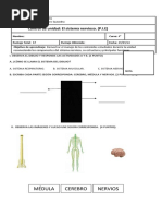 Prueba Sistema Nervioso Cuarto Básico 29 Septiembre PIE
