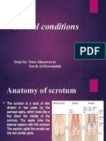 Scrotal Conditions: Done By: Enas Almazraway Sarah Al-Hawamdeh