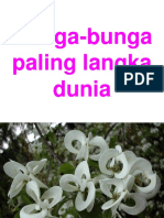 Bunga Langka Dunia PDF