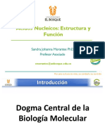 Tema - 5 - Estructura y Función de Ácidos Nucléicos 2020 - 2 PDF