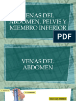 5 - Venas de Abdomen, Pelvis y Miembro Inferior CN