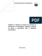 Curso Criação de Galinha.pdf