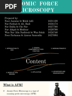 Atomic Force Microscope