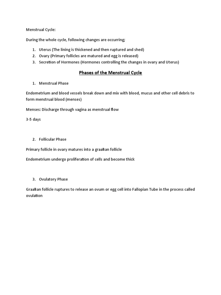 Menstrual Cycle Notes | PDF