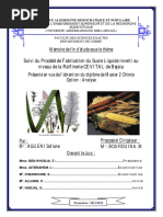 Suivi Du Procédé de Fabrication Du Sucre Liquide Inverti Au Niveau de La Raffinerie CEVITAL de Bejaia PDF